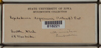 Image Associated With the Occurence